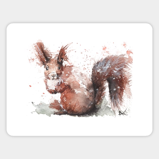 Squirrel Magnet by Andraws Art